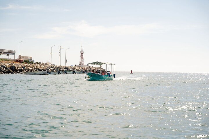 Land’s End Experience – Arch, Beaches & Marine Life