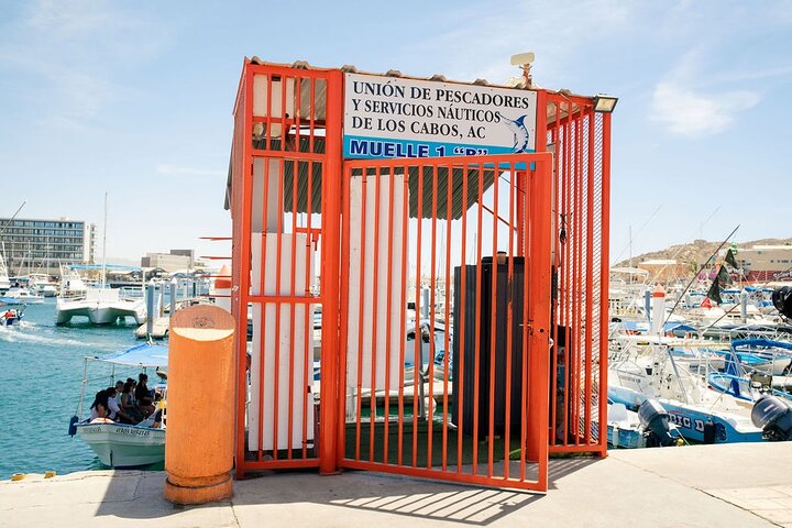 Land’s End Experience – Arch, Beaches & Marine Life