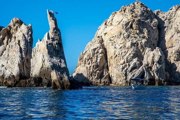 Land’s End Experience – Arch, Beaches & Marine Life