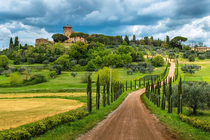 From Siena Best of Tuscany Wines and Lunch in Montepulciano