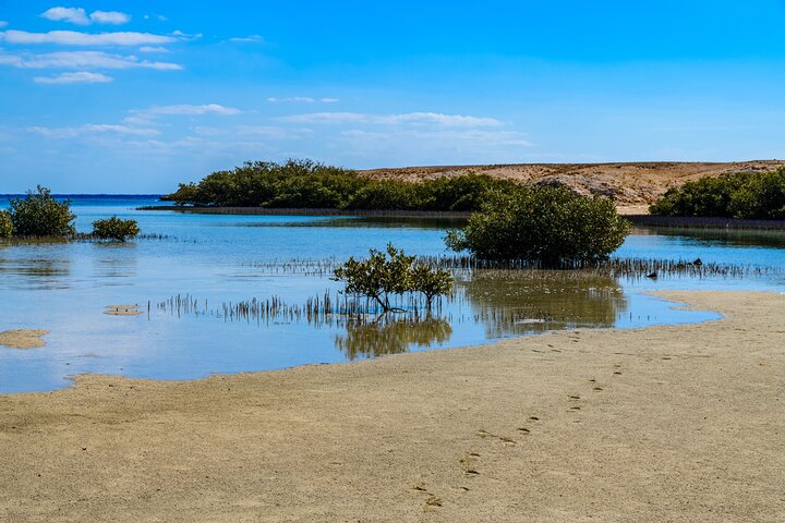 Sharm El Sheikh: Ras Mohammed Snorkeling & Top Sights