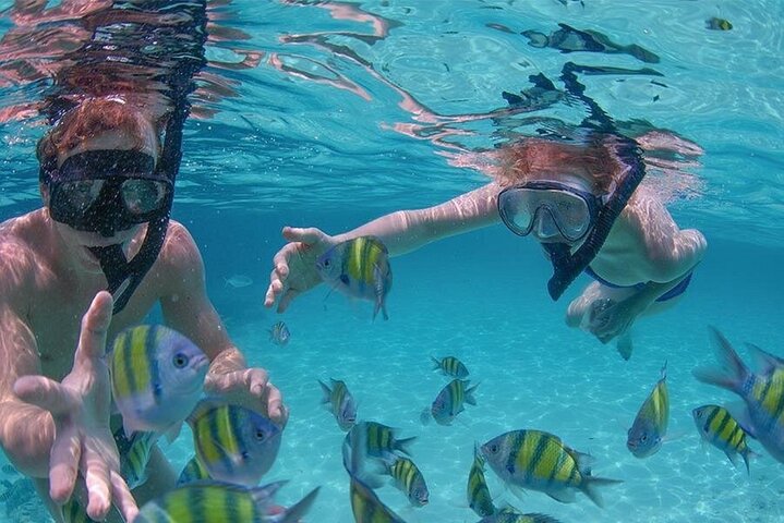 Sand Bar Punta Cana, Snorkeling, Party Boat, Booze Cruise Party