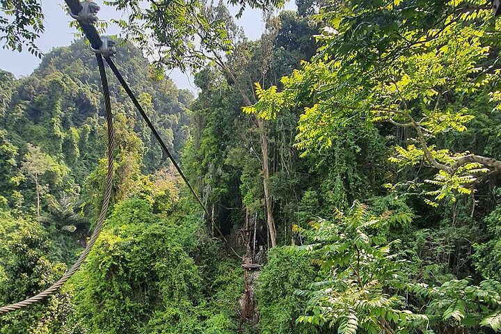 Fun Tree Top Zipline Adventure and Challenge in Kanchanaburi