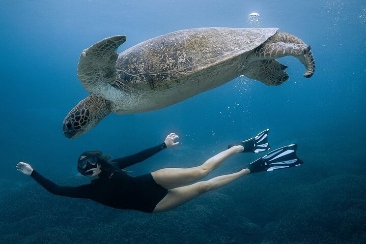 Nusa Penida One Day Trip with Snorkeling - All Inclusive