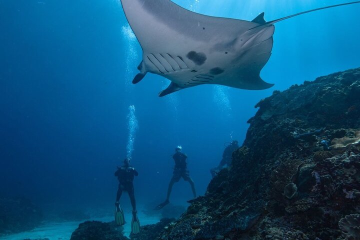 Nusa Penida One Day Trip with Snorkeling - All Inclusive