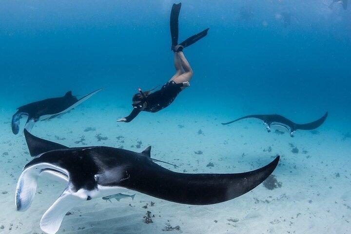 Nusa Penida One Day Trip with Snorkeling - All Inclusive