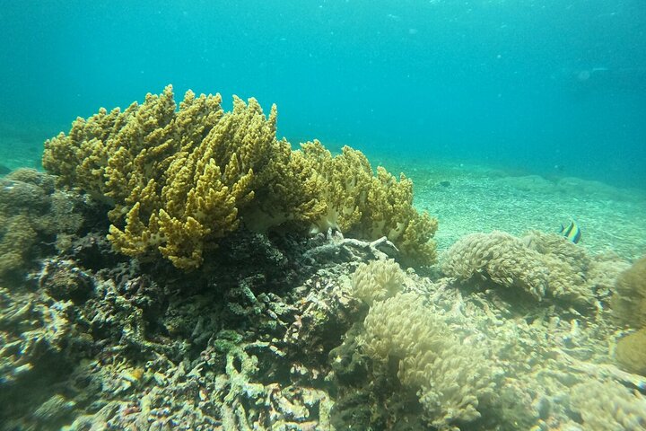 Nusa Penida One Day Trip with Snorkeling - All Inclusive