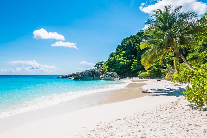 Havelock Coral Experience: Semi-Submarine and Radhanagar Beach