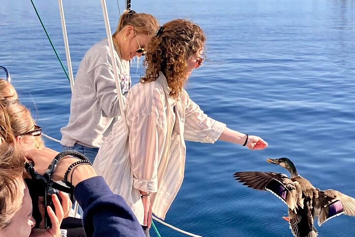 Eco Sailing Tour to Maori Rock Carvings on Lake Taupo