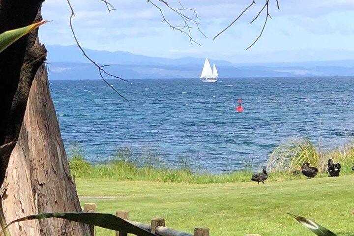 Eco Sailing Tour to Maori Rock Carvings on Lake Taupo