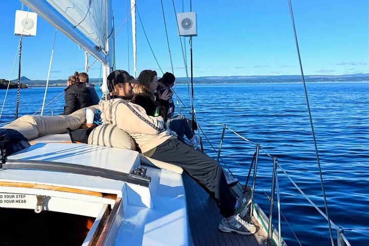 Eco Sailing Tour to Maori Rock Carvings on Lake Taupo