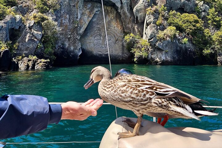 Eco Sailing Tour to Maori Rock Carvings on Lake Taupo