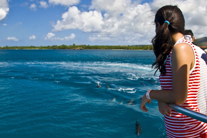 Dolphin Watching Cruise with Underwater Observatory Viewing
