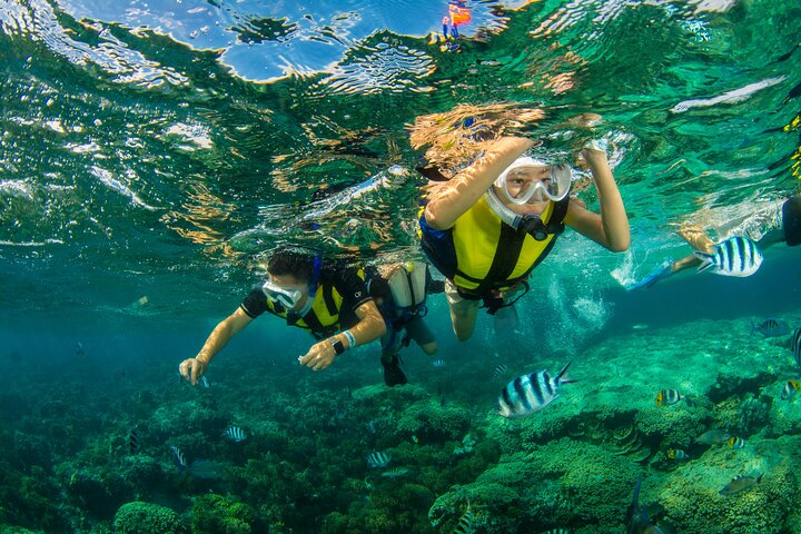 Eco Snokeling in Piti Bay Marine
