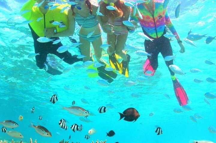 Eco Snokeling in Piti Bay Marine