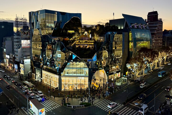 Tokyo Private Discovery Tour | Unique Insights & Must Sees
