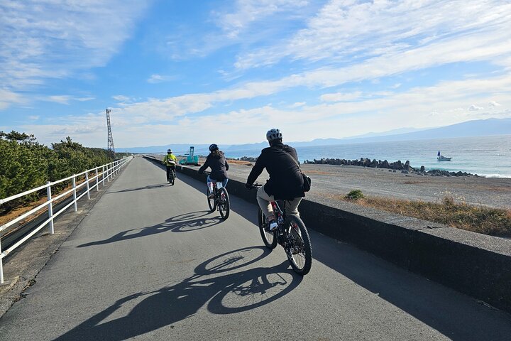 Mount Fuji Scenic EBike Tour for Cruise Travelers