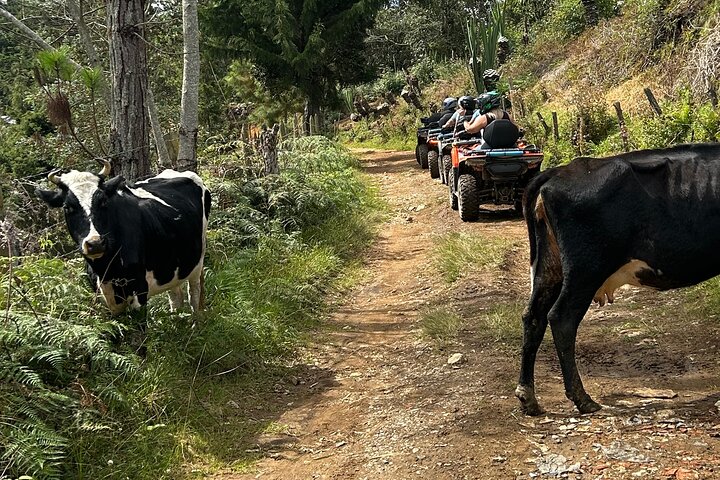 Medellin : Off-Road Adventure in ATV, Quad-Adrenalin-waterfall