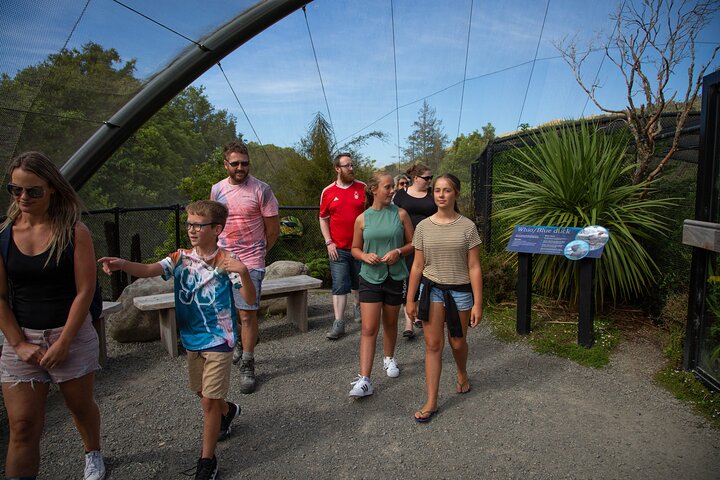 1Hour Guided Tour of Pūkaha National Wildlife Centre