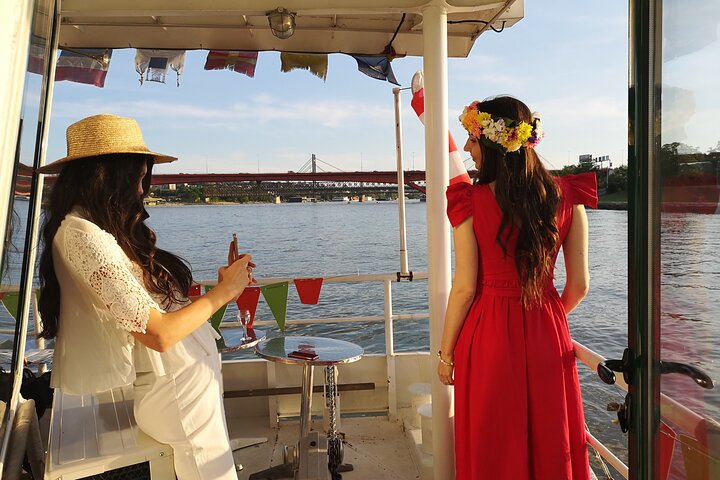 Belgrade Panoramic Cruise Along the Sava and Danube Rivers