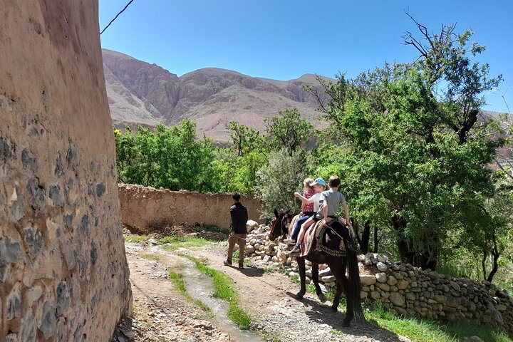 Dades Gorge Monkey Fingers Canyon Guided with Local Experience