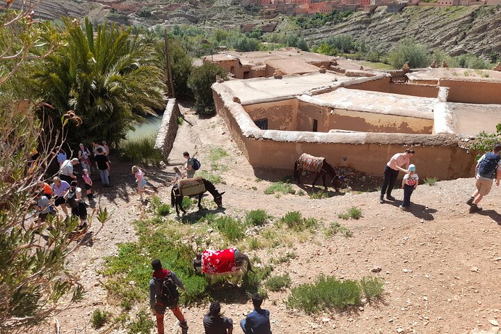 Dades Gorge Monkey Fingers Canyon Guided with Local Experience