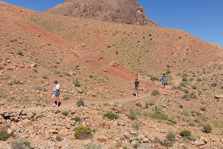 Dades Gorge Monkey Fingers Canyon Guided with Local Experience