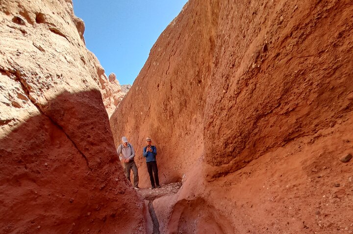 Dades Gorge Monkey Fingers Canyon Guided with Local Experience