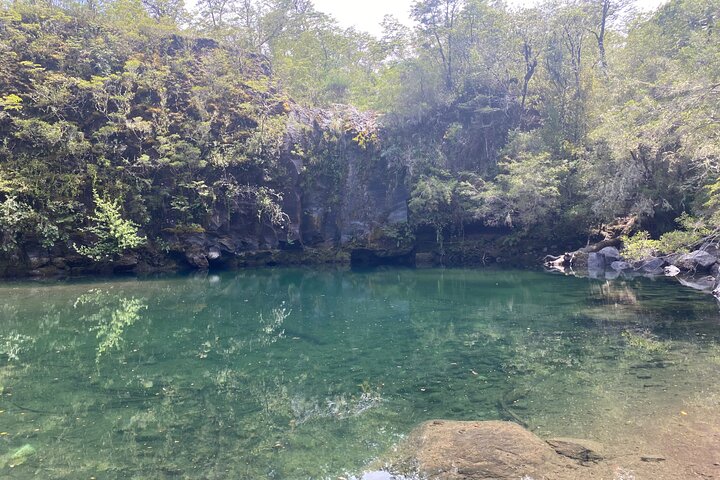 Custom Tour of the Lakes Region in Chile