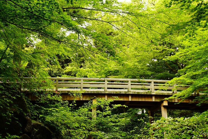 Nagoya: Tokugawa Garden and Nagoya Castle Samurai Heritage Tour