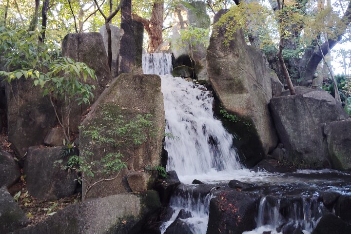 Nagoya: Tokugawa Garden and Nagoya Castle Samurai Heritage Tour