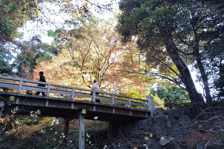 Nagoya: Tokugawa Garden and Nagoya Castle Samurai Heritage Tour