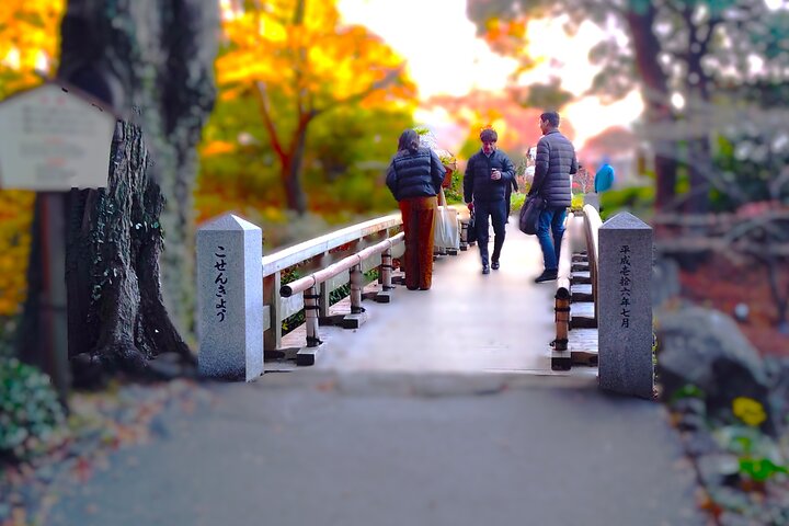 Nagoya: Tokugawa Garden and Nagoya Castle Samurai Heritage Tour