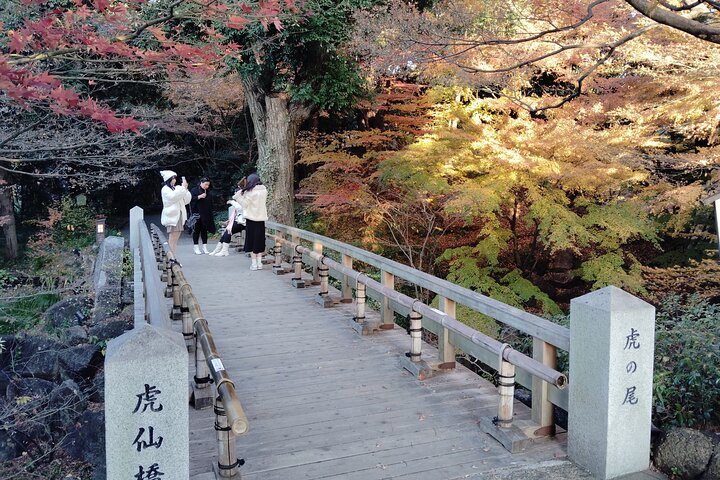 Nagoya: Tokugawa Garden and Nagoya Castle Samurai Heritage Tour