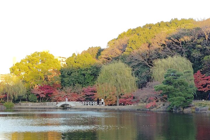 Nagoya: Tokugawa Garden and Nagoya Castle Samurai Heritage Tour