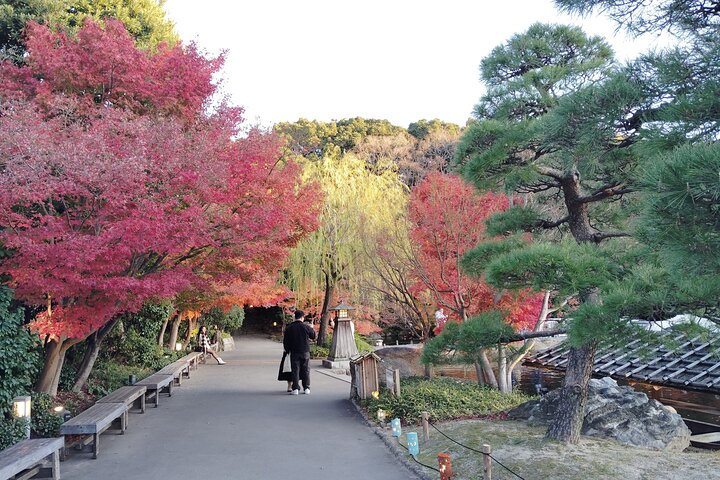 Nagoya: Tokugawa Garden and Nagoya Castle Samurai Heritage Tour