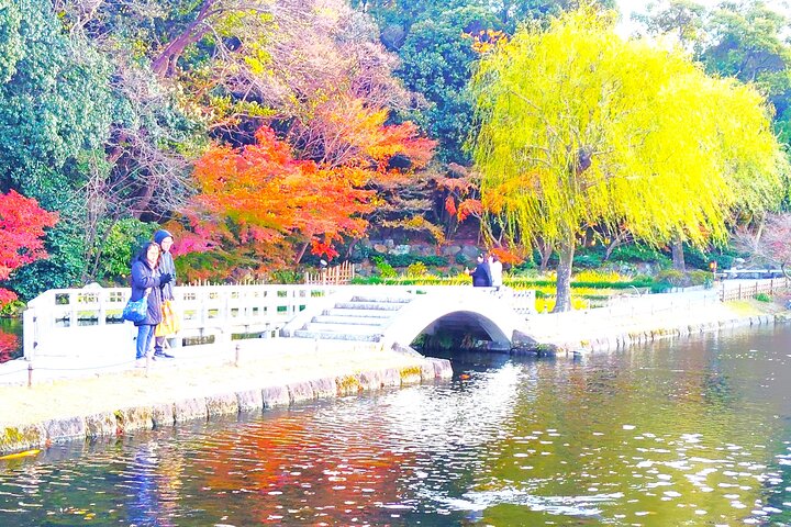 Nagoya: Tokugawa Garden and Nagoya Castle Samurai Heritage Tour