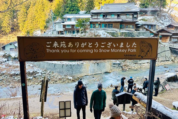 VIP Snow Monkeys Park Customized Private One Day Tour