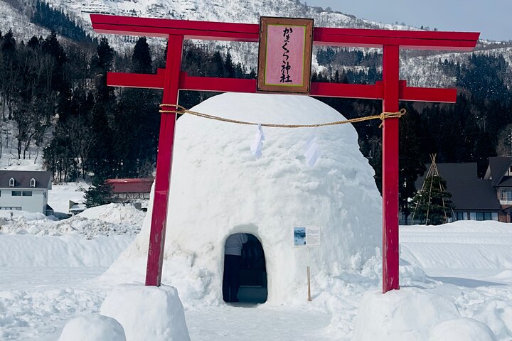 VIP Snow Monkeys Park Customized Private One Day Tour