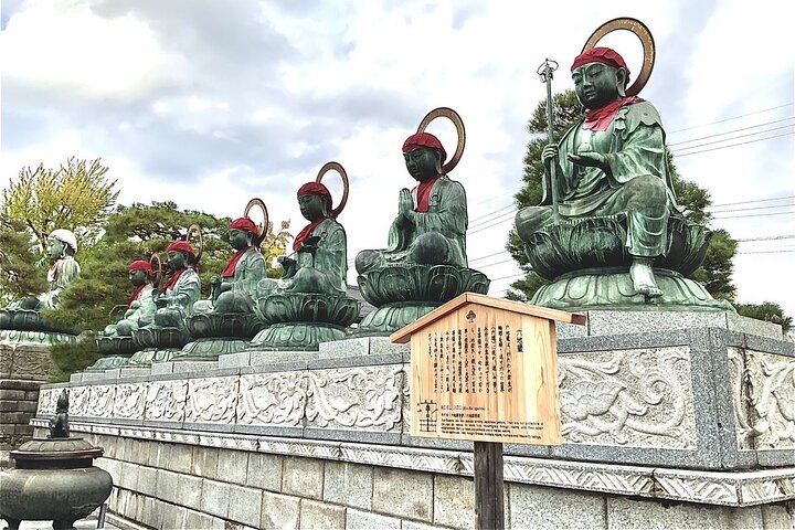 VIP Snow Monkeys Park Customized Private One Day Tour