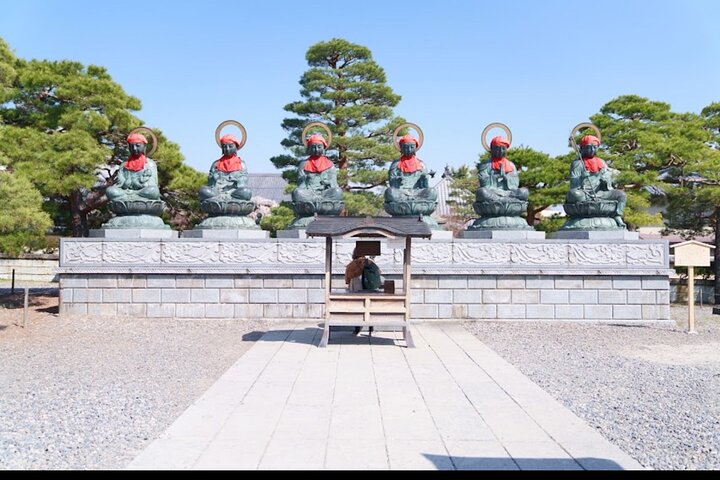 VIP Snow Monkeys Park Customized Private One Day Tour