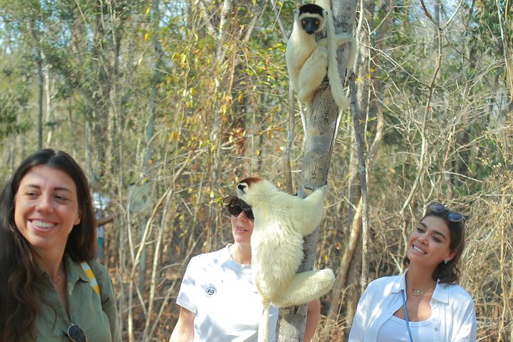 Tsingy tour 3 days start in Morondava