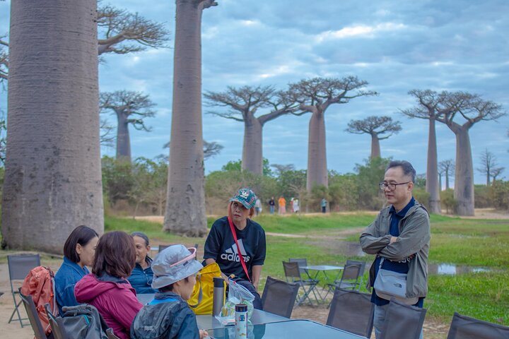 Tsingy tour 3 days start in Morondava