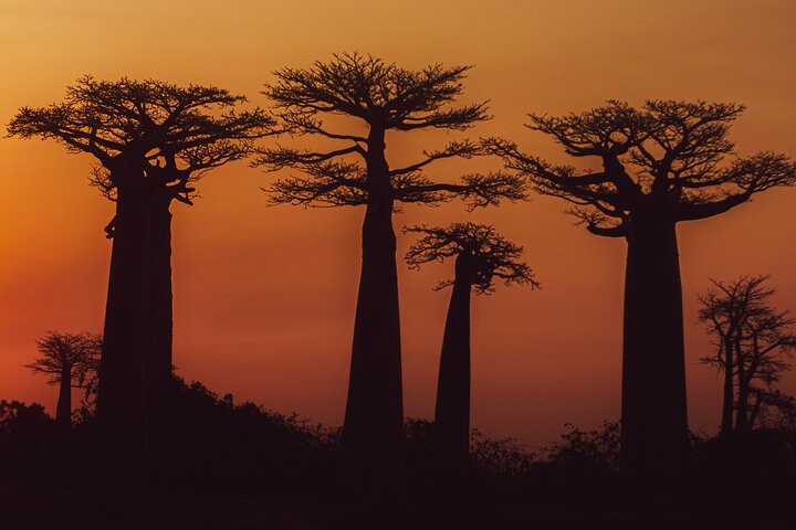 Tsingy tour 3 days start in Morondava