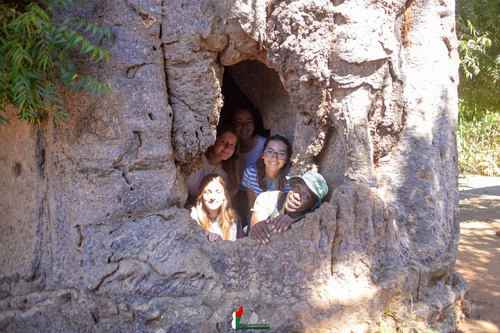 Baobab tour in Morondava