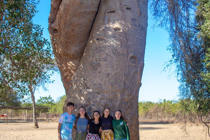 Baobab tour in Morondava