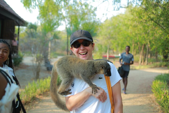 Baobab tour in Morondava