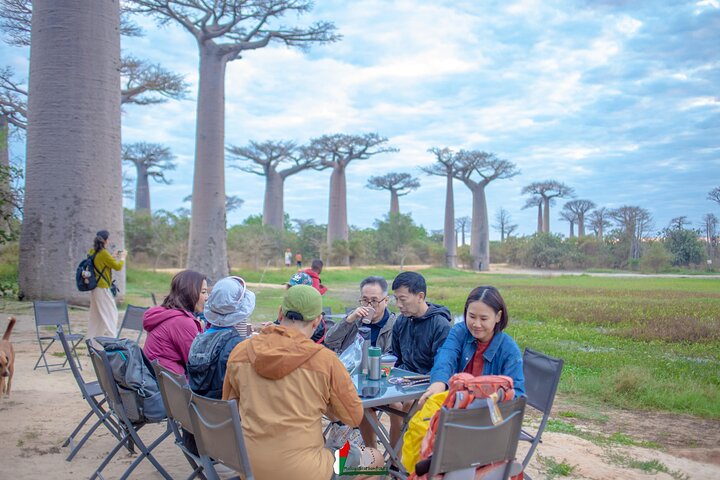 Baobab tour in Morondava
