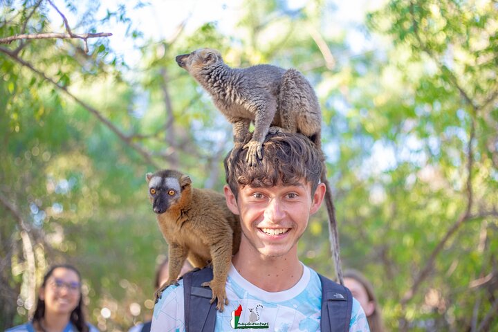 Baobab tour in Morondava