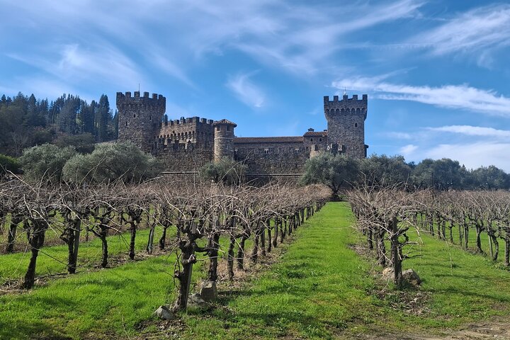 Fabulous Private Wine Tour of Napa & Sonoma: 2 to 5 People